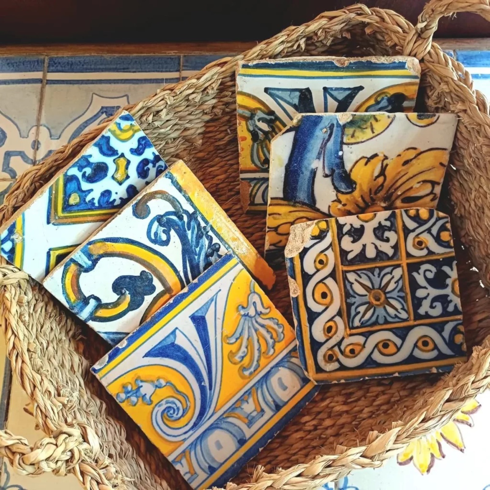 Guided hike in Arrábida