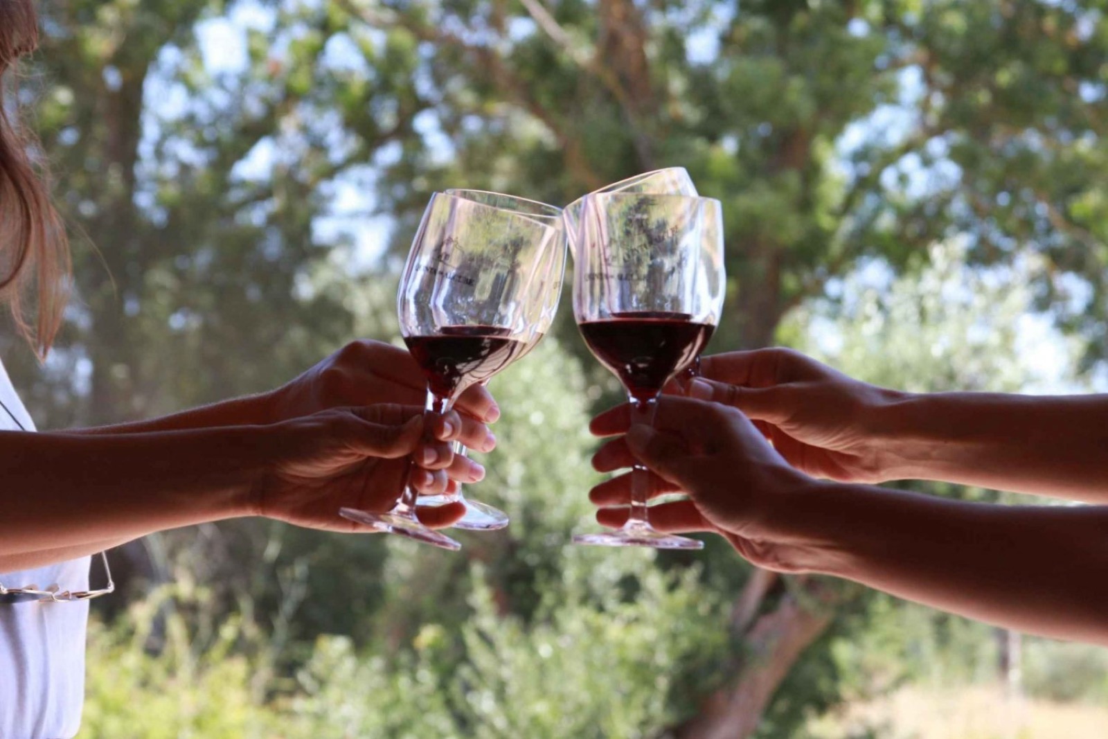 In-villa guided tasting