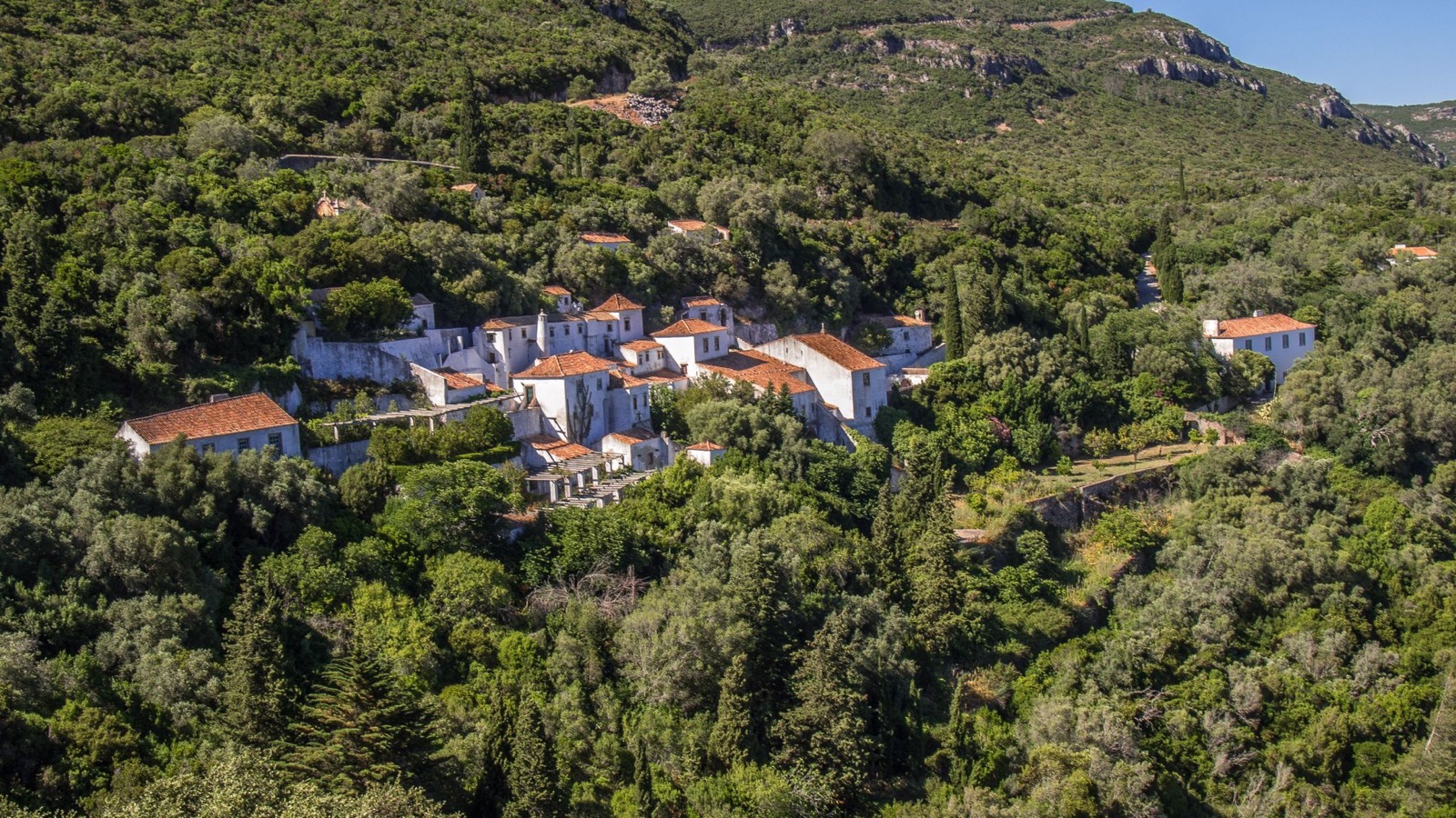 Family beach day setup